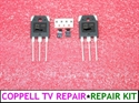 Picture of Repair kit for the Vs tract in SAMSUNG power PSPF531801A